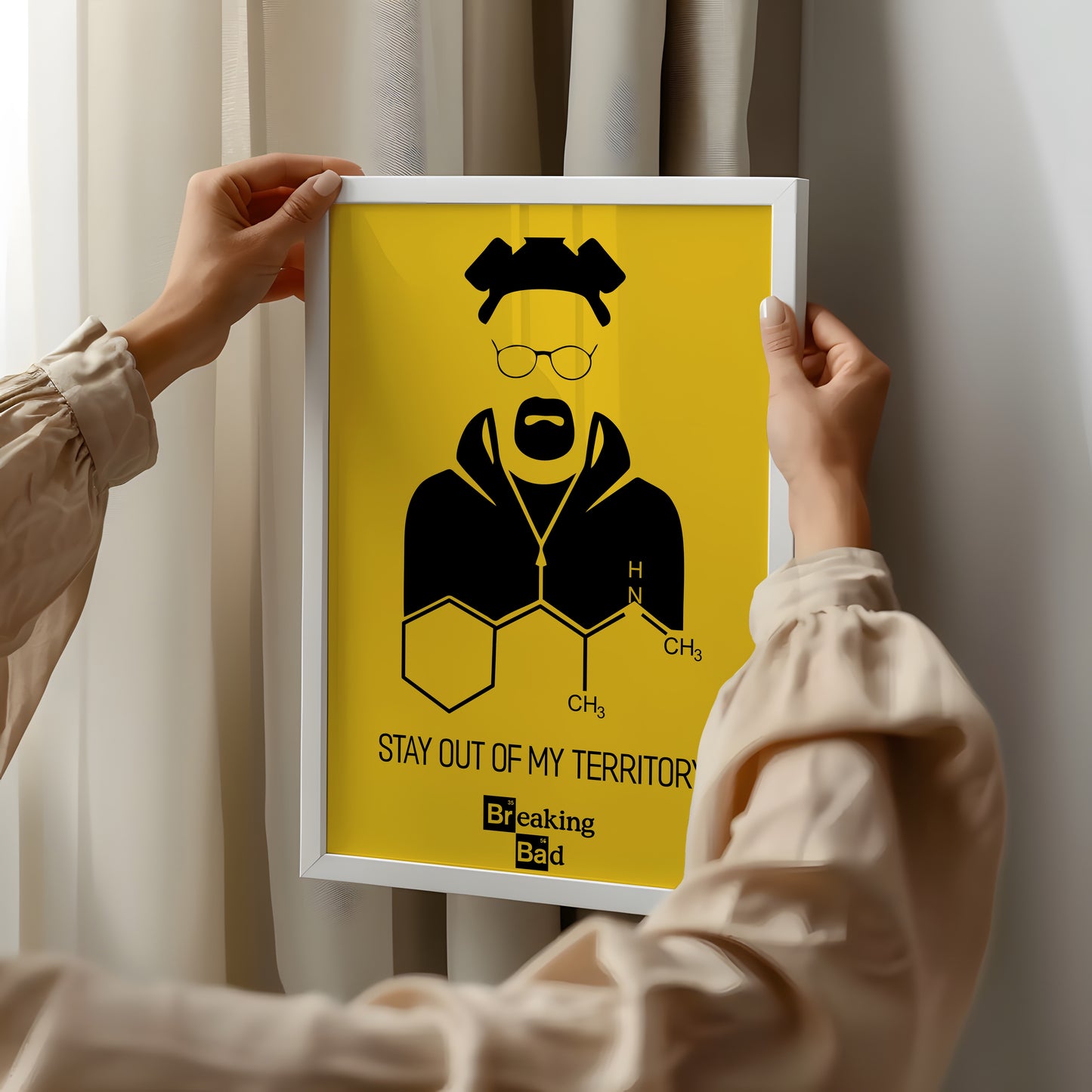 Breaking Bad - Stay out of my territory