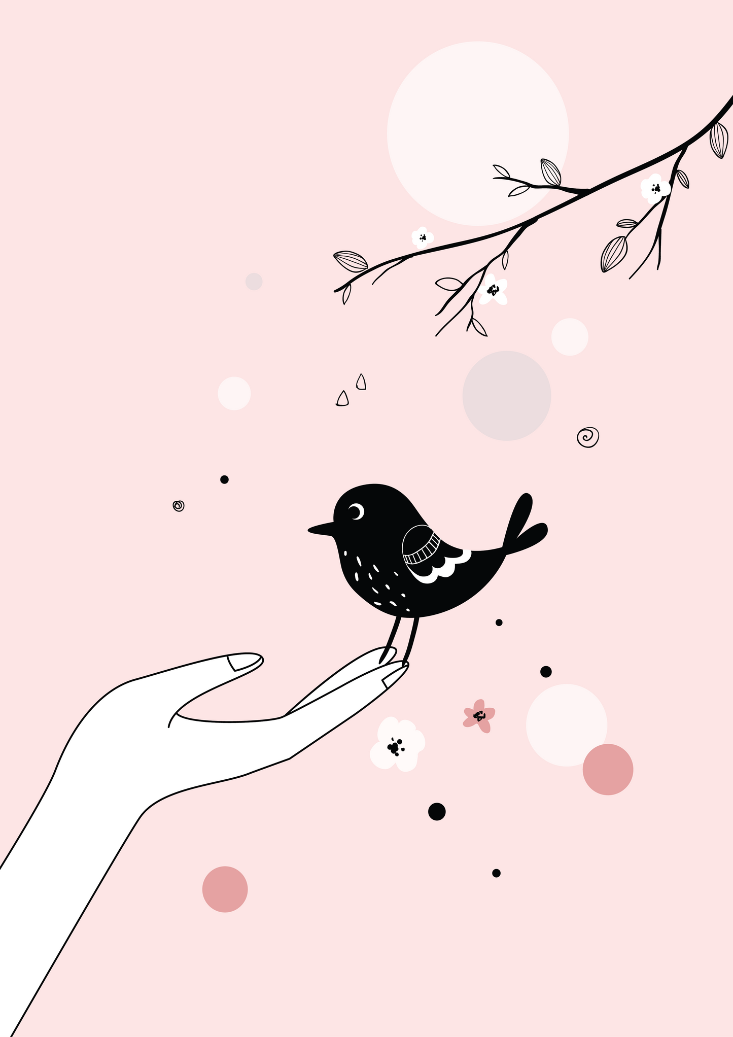 Cute Bird