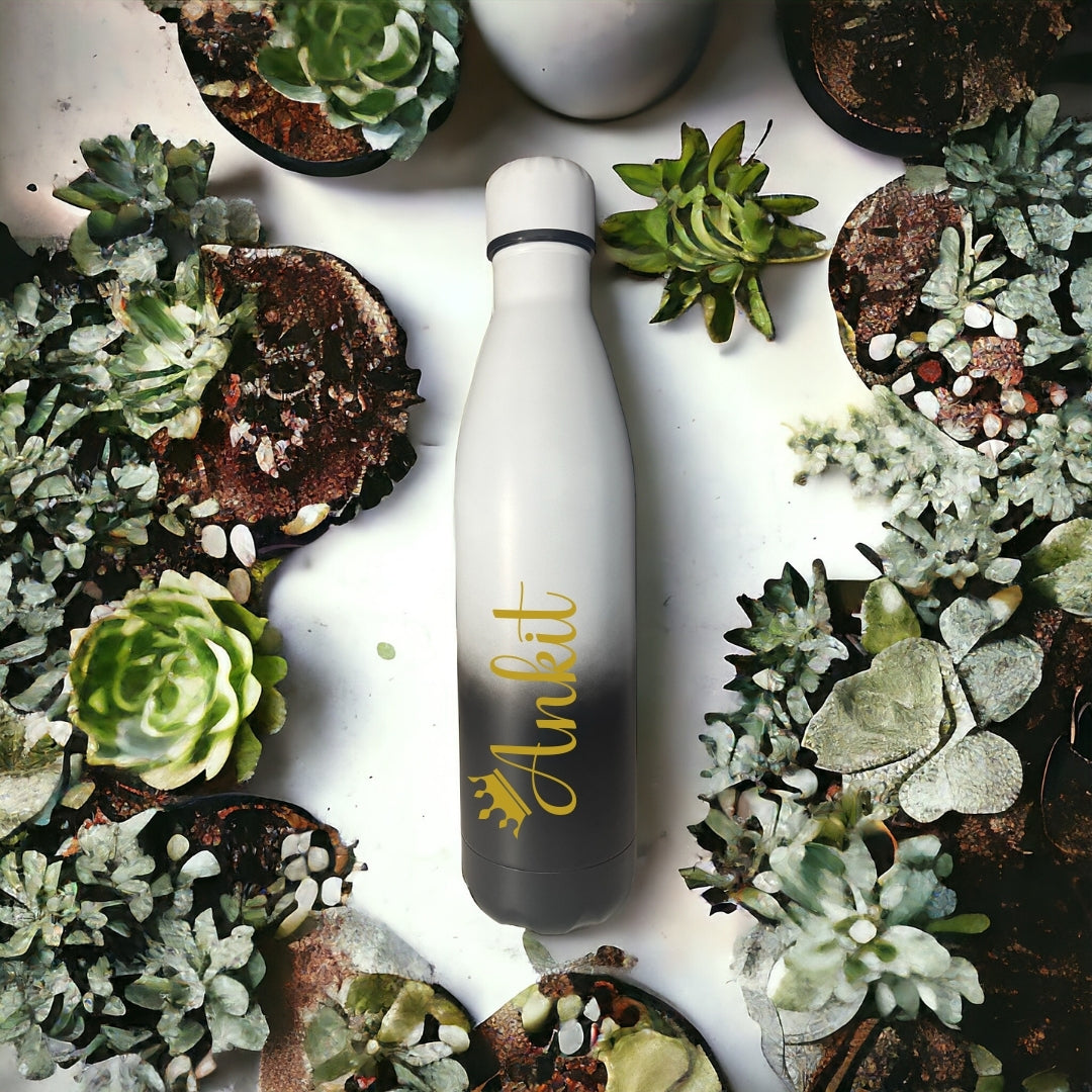 CLINK - [Personalised] Double Shaded Stainless Steel Water Bottle