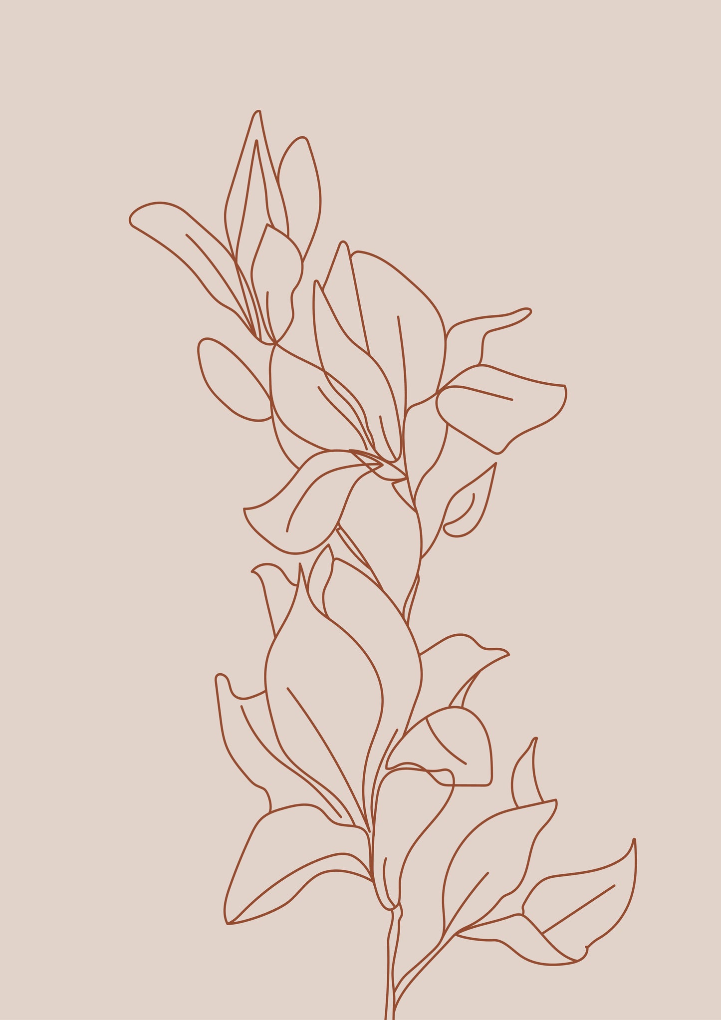 Line Drawing of a beautiful plant