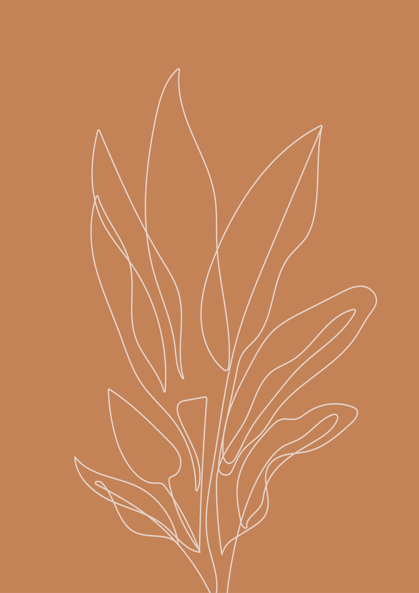 Line Drawing of a plant